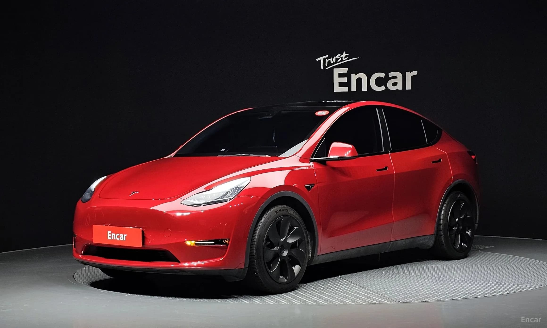 Model Y