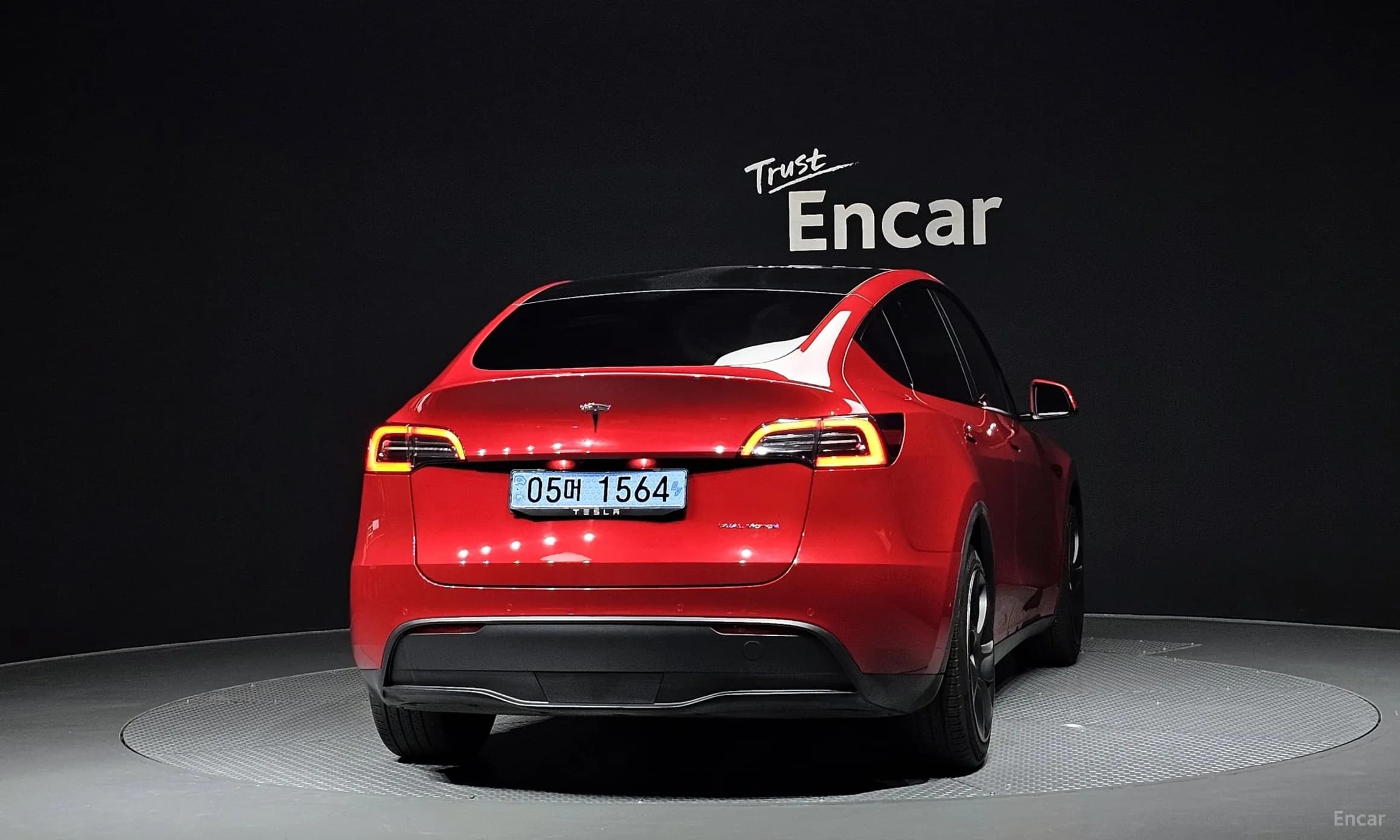 Model Y
