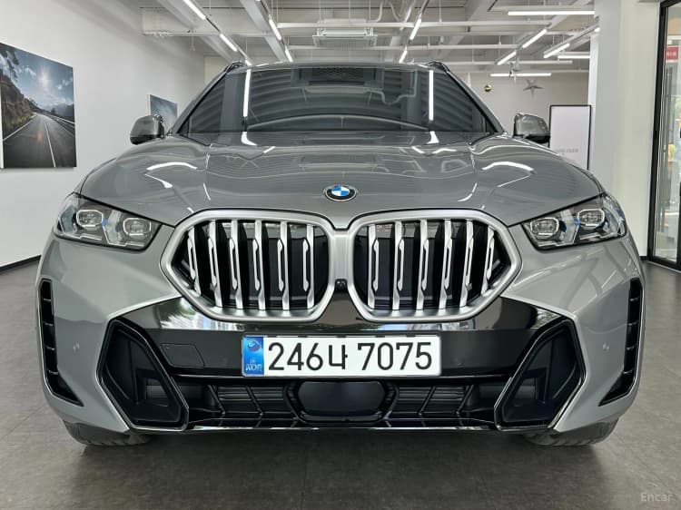 X6 (G06)