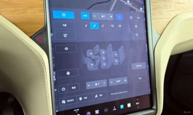 Model X