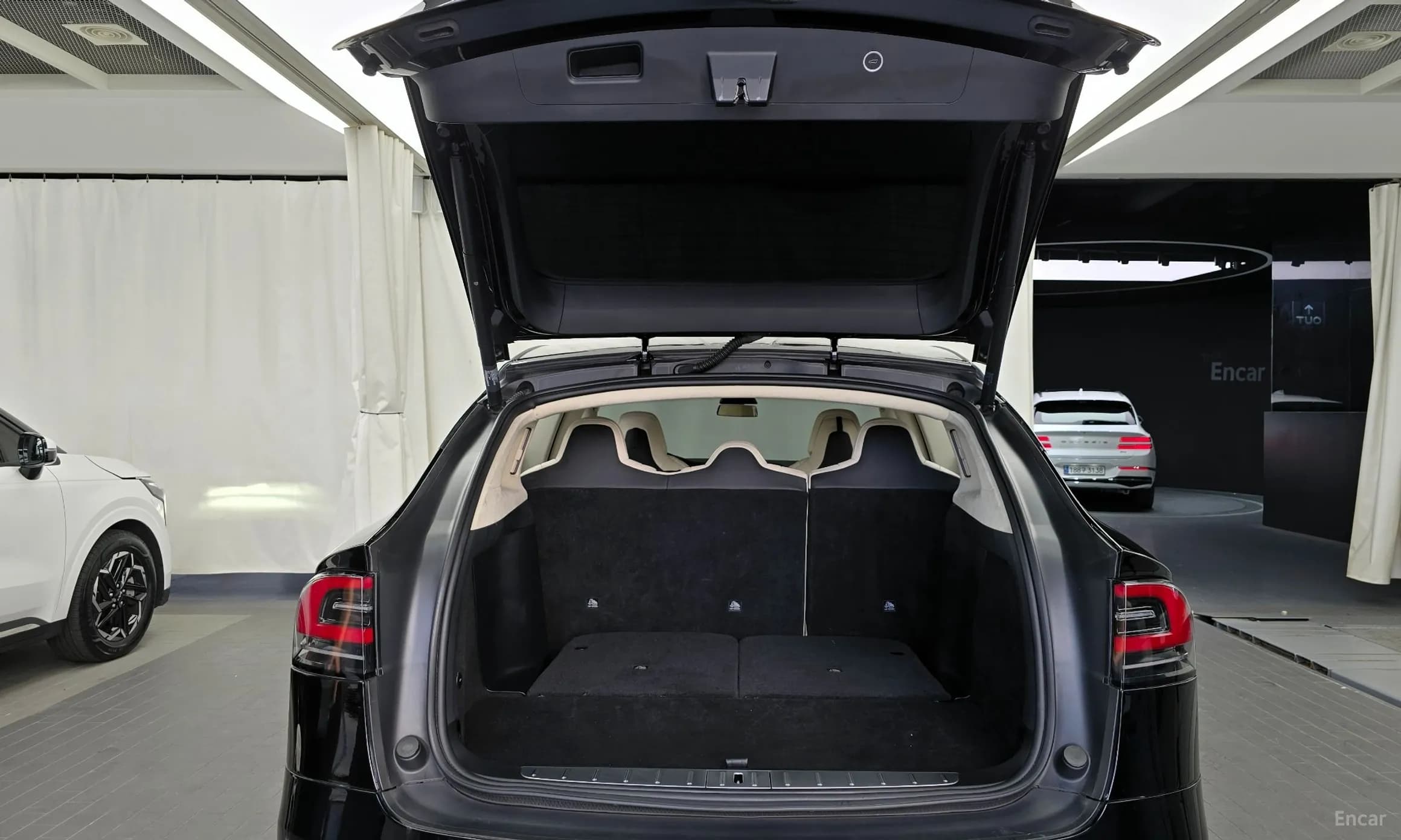 Model X