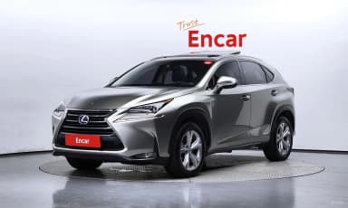 NX300h