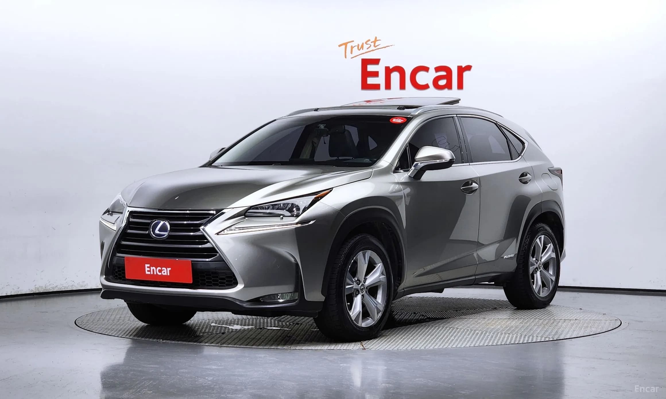 NX300h