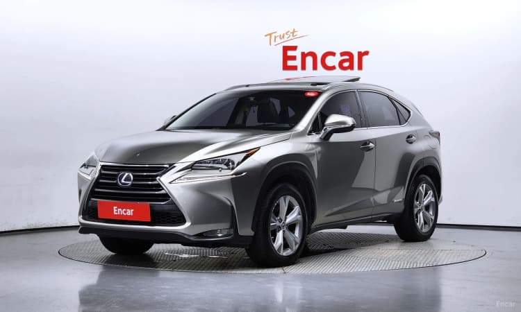 NX300h