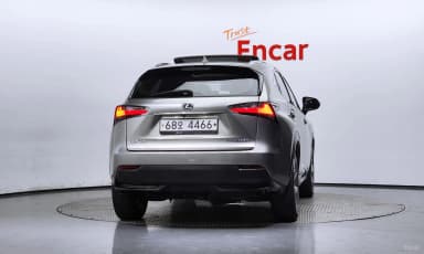 NX300h