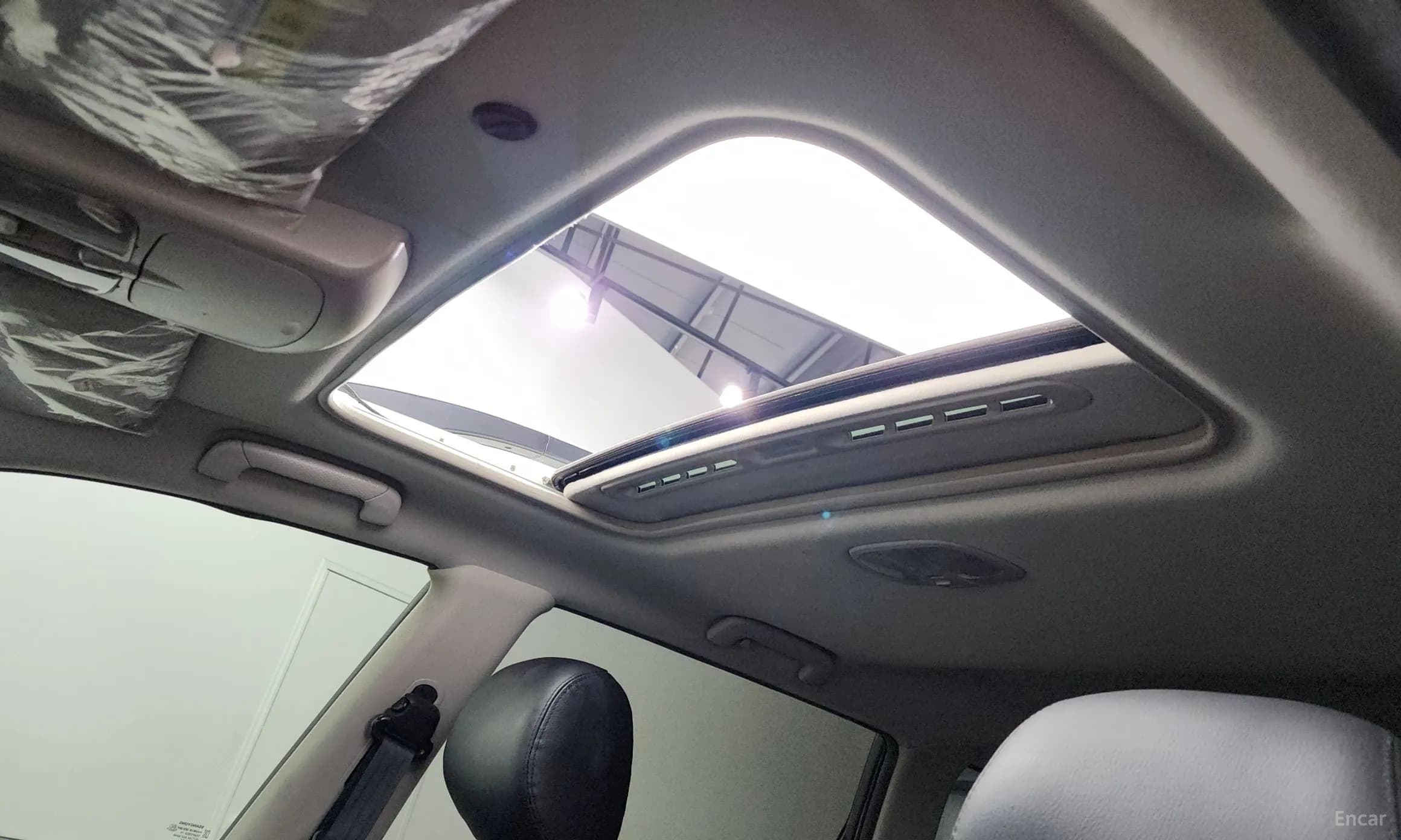 Rexton W