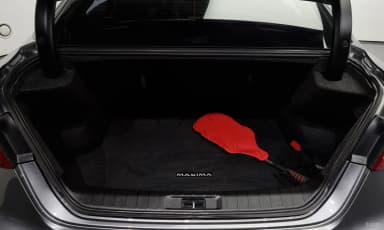 Maxima (A36)