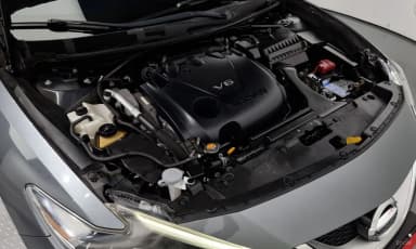 Maxima (A36)