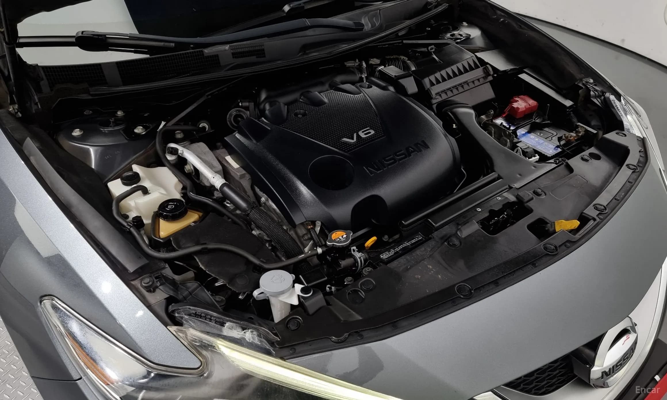 Maxima (A36)
