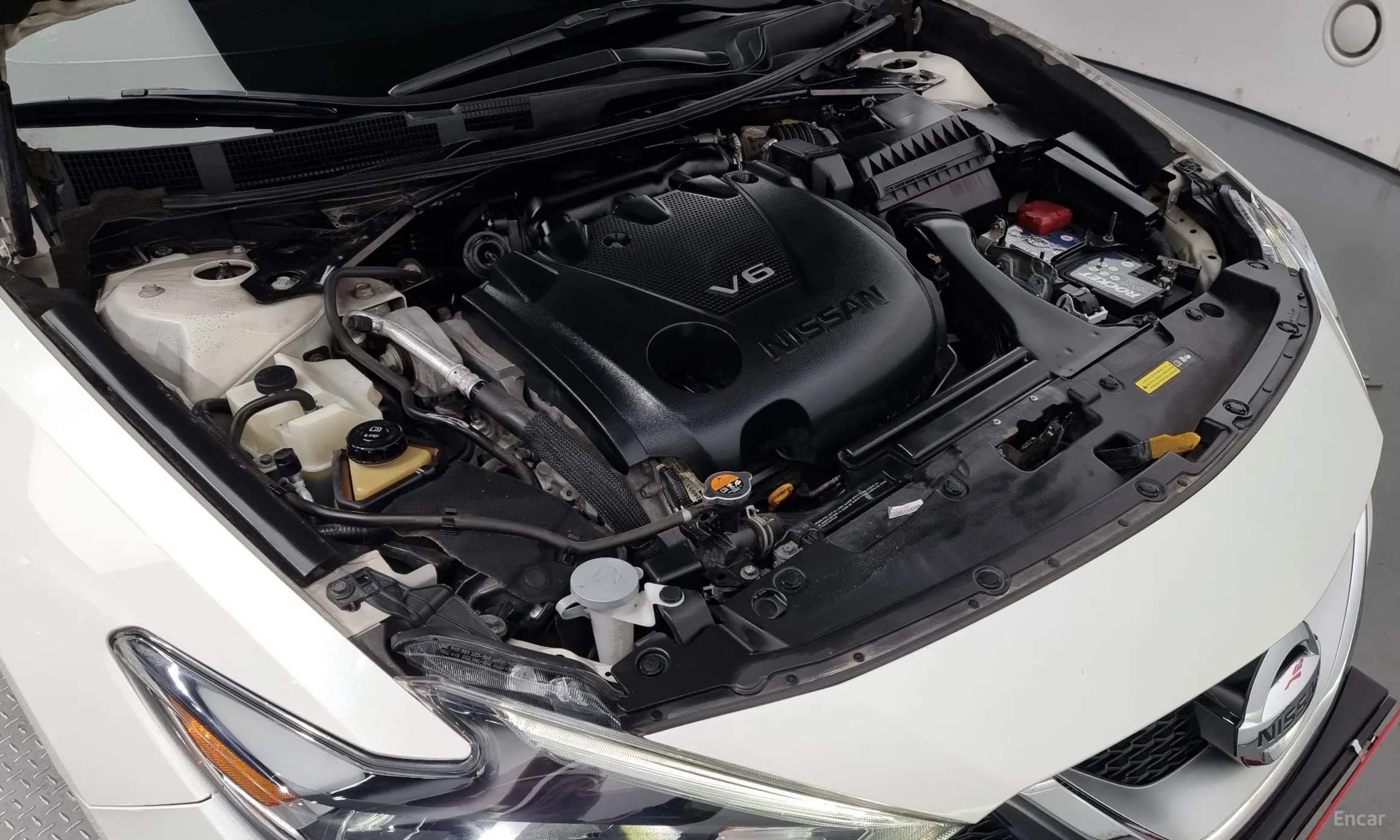 Maxima (A36)