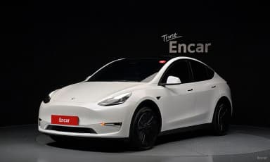 Model Y