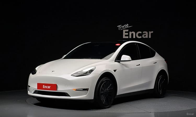 Model Y