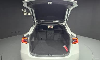 Model Y