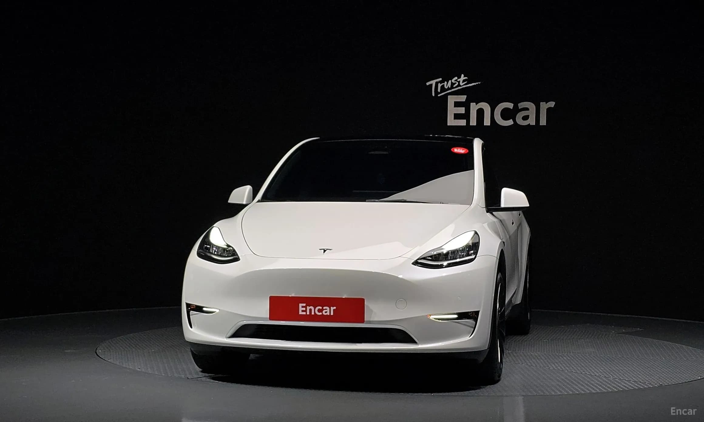 Model Y