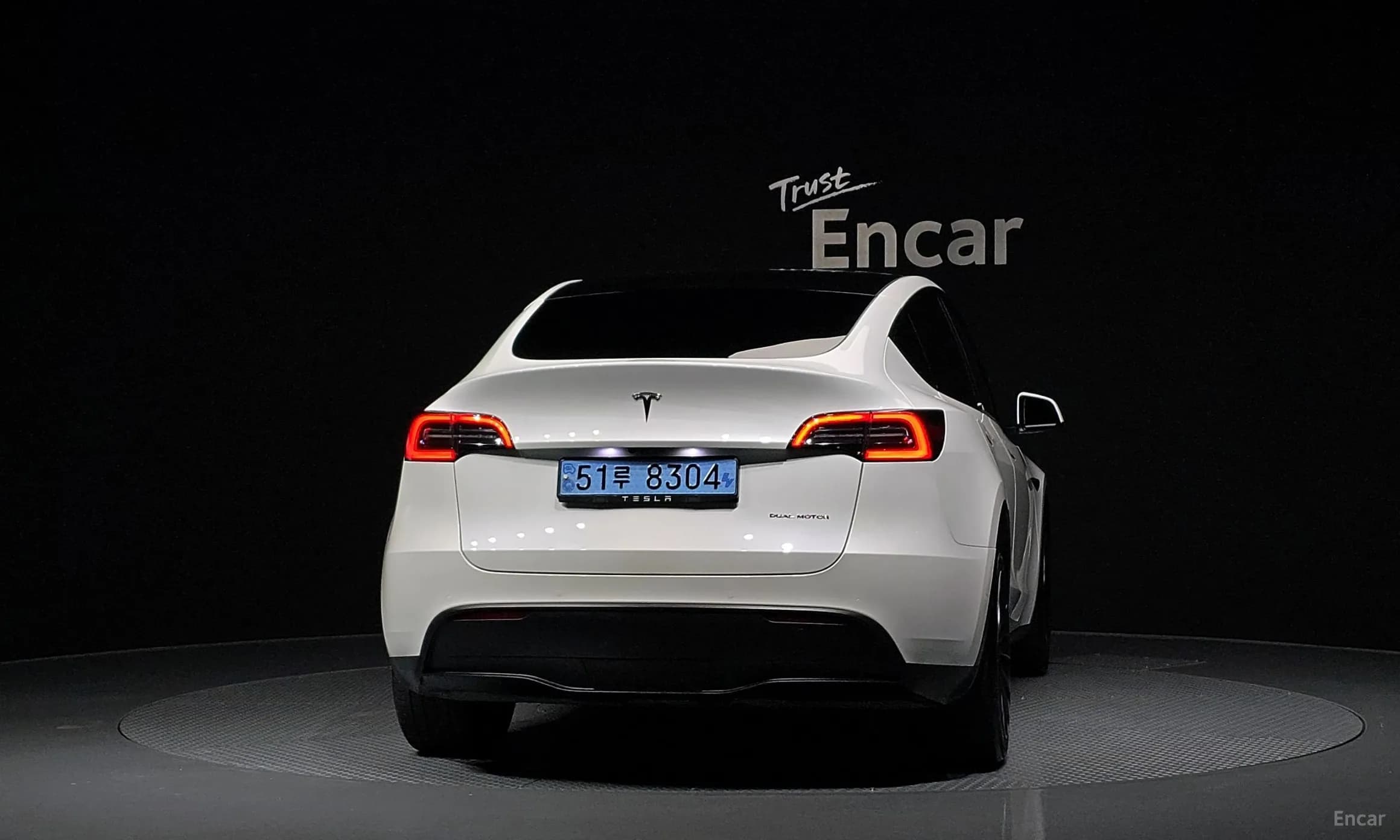 Model Y