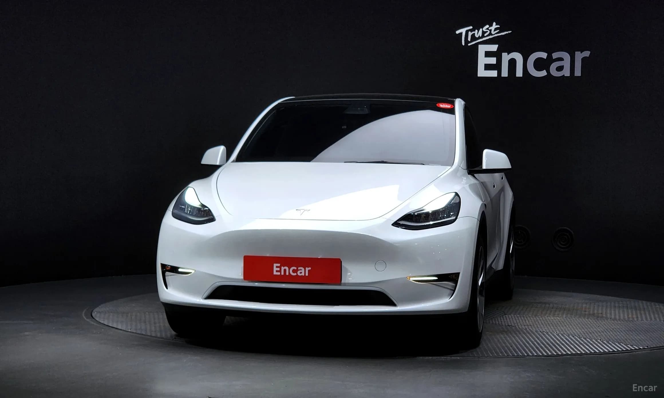 Model Y