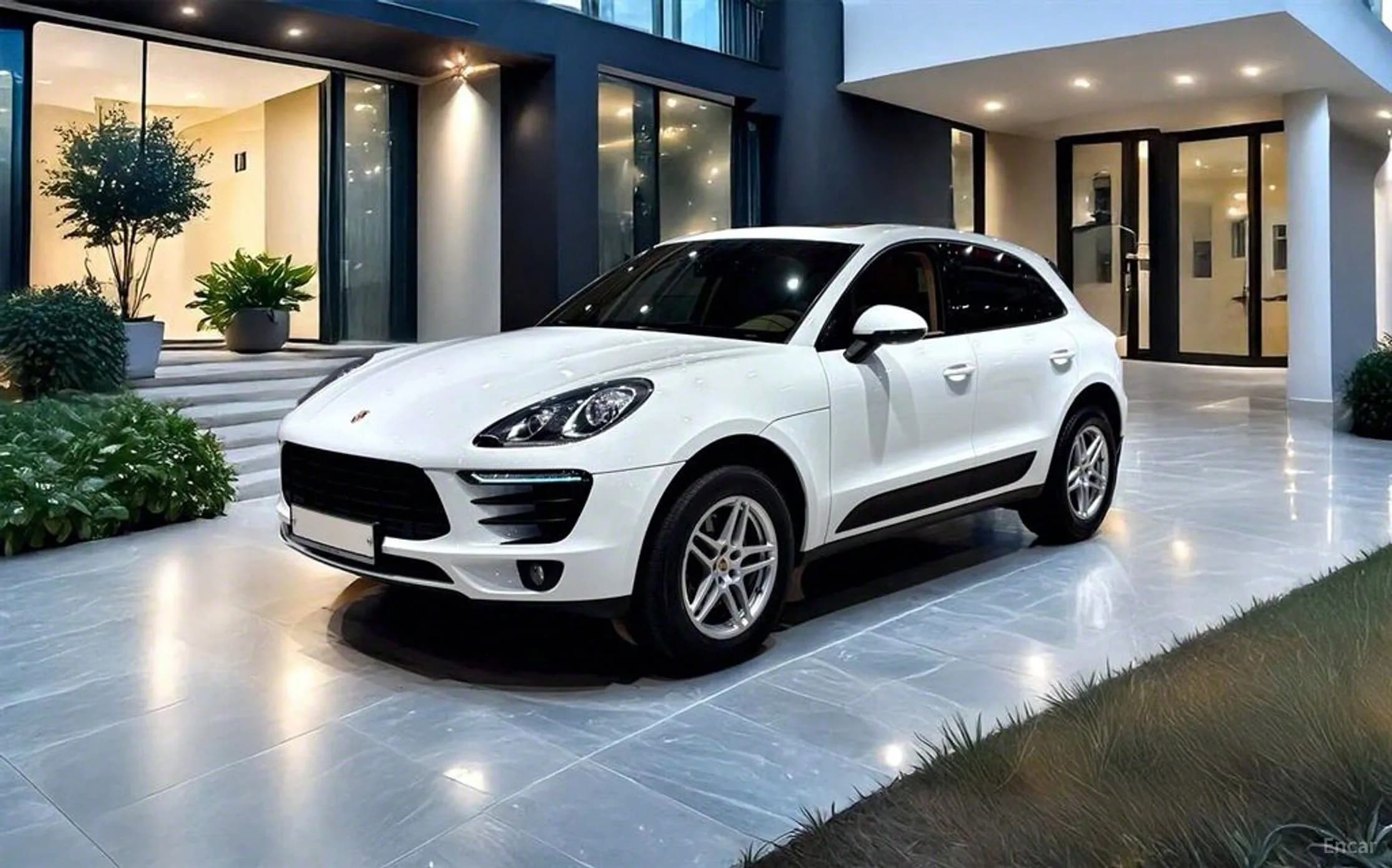 Macan