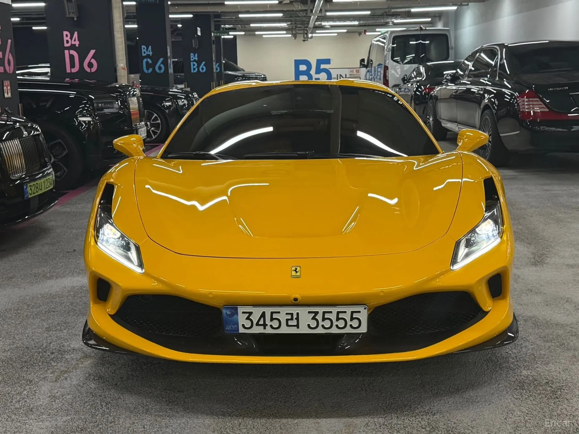 F8 Spider