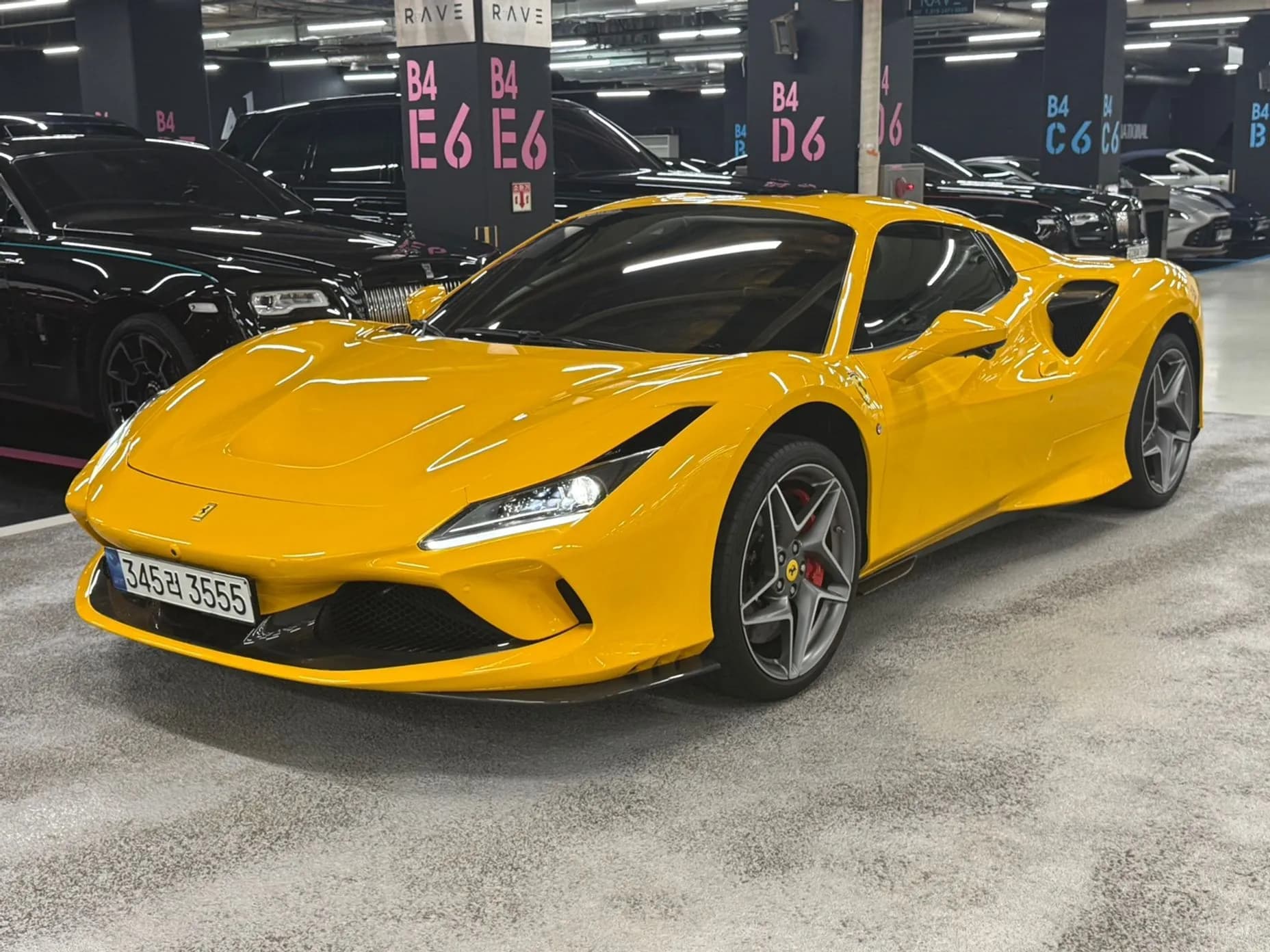 F8 Spider