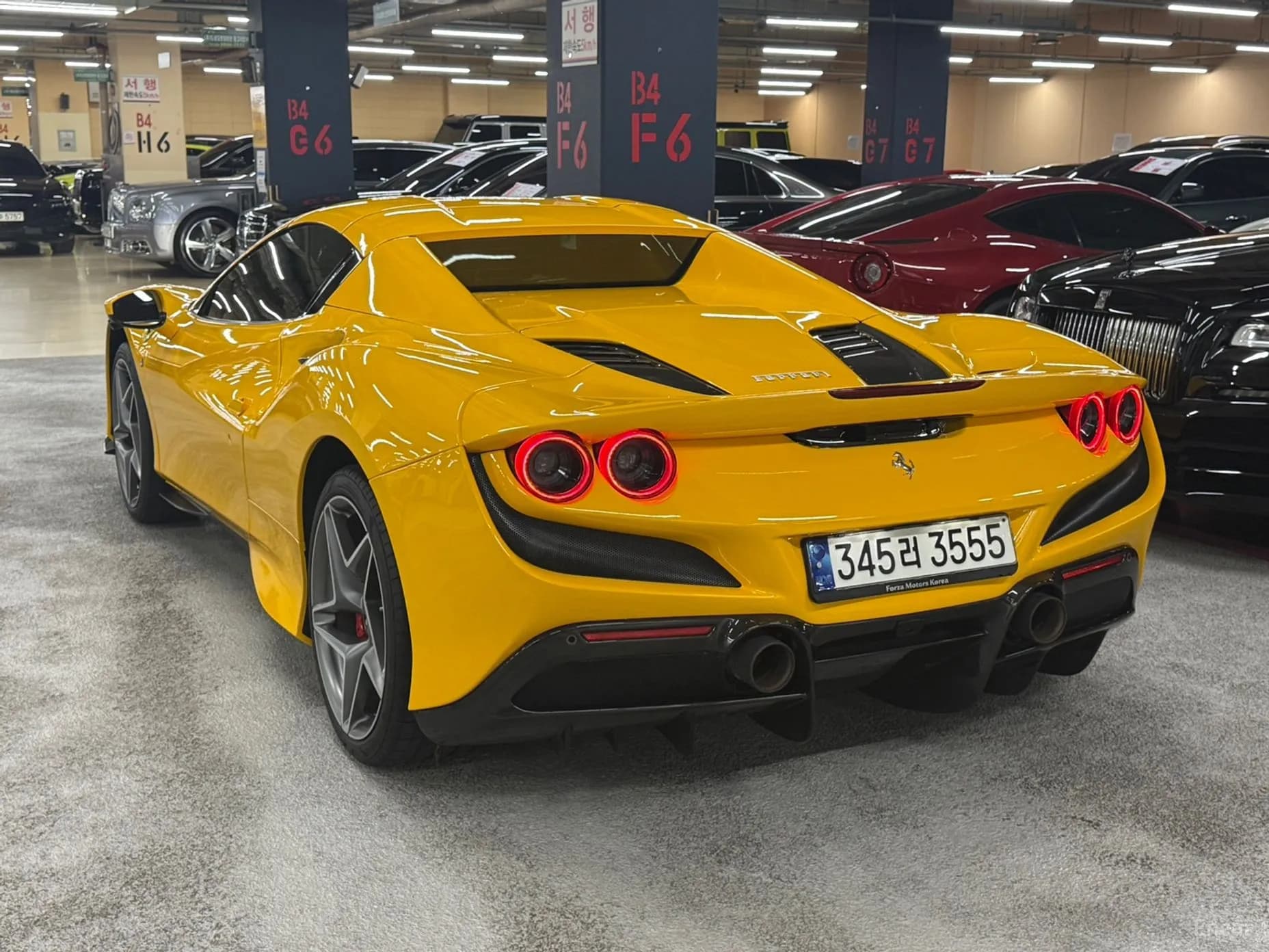 F8 Spider