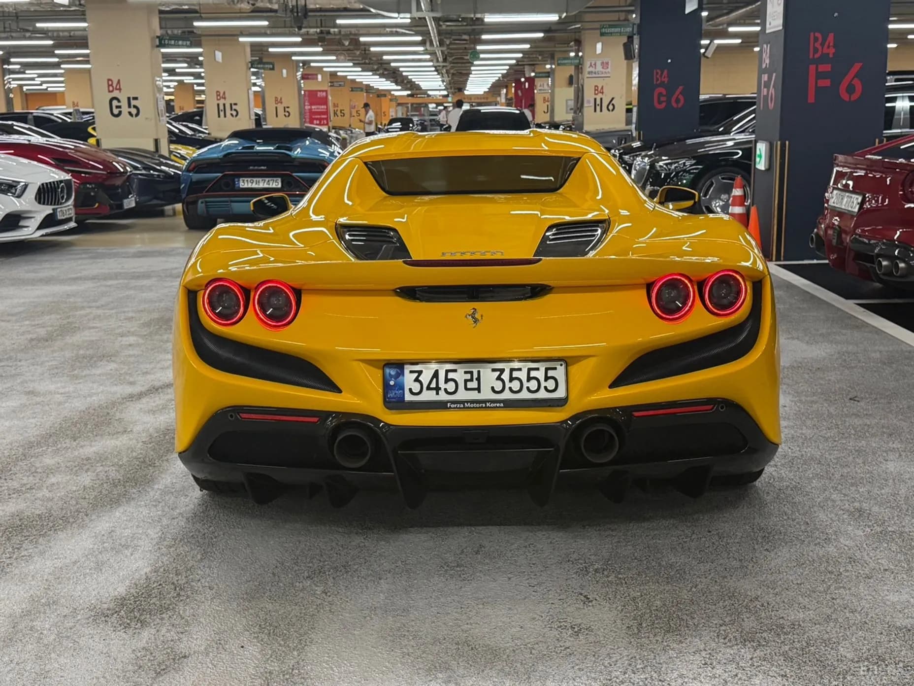 F8 Spider