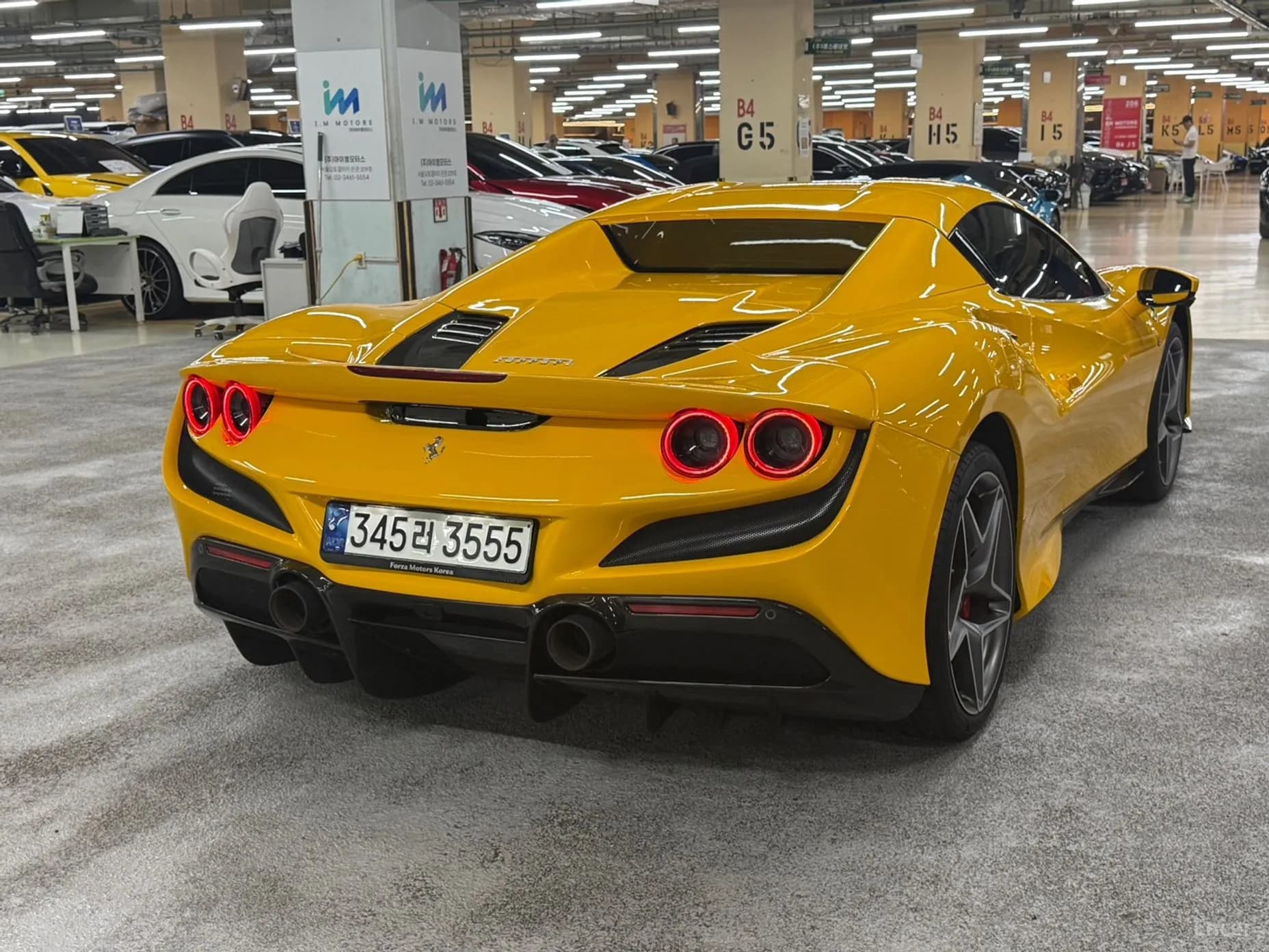 F8 Spider