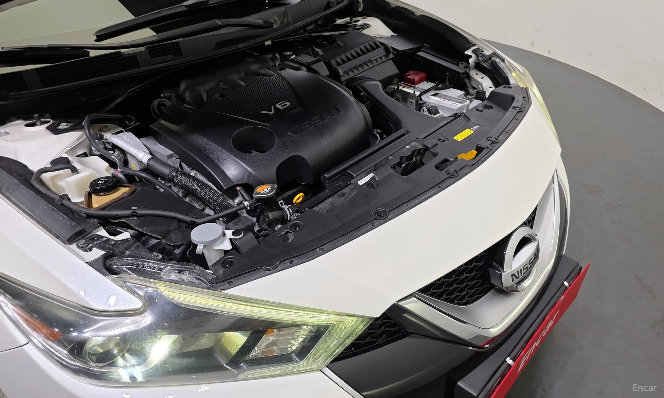Maxima (A36)