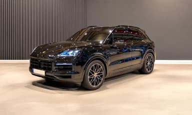 Cayenne (PO536)