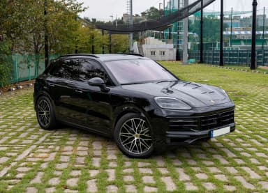 Cayenne (PO536)