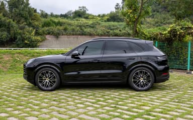 Cayenne (PO536)