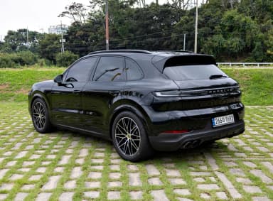 Cayenne (PO536)