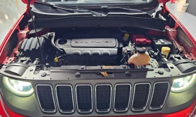 Renegade