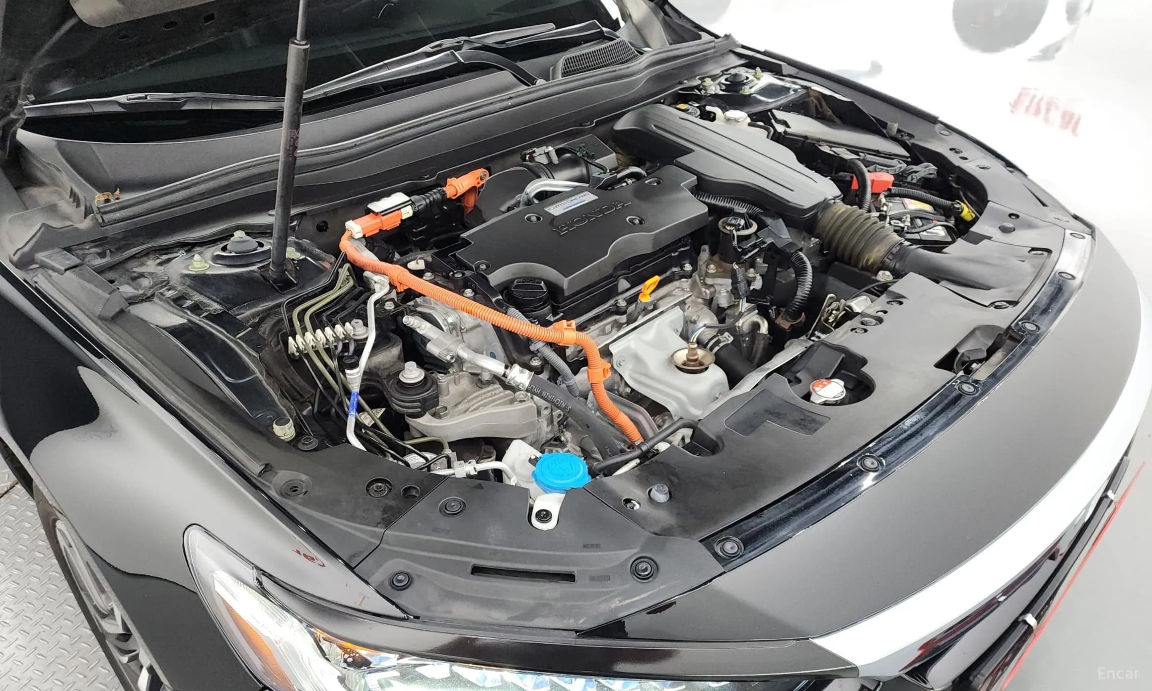 Accord 10th Generation