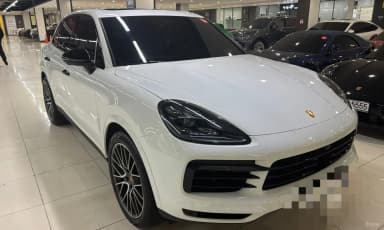 Cayenne (PO536)