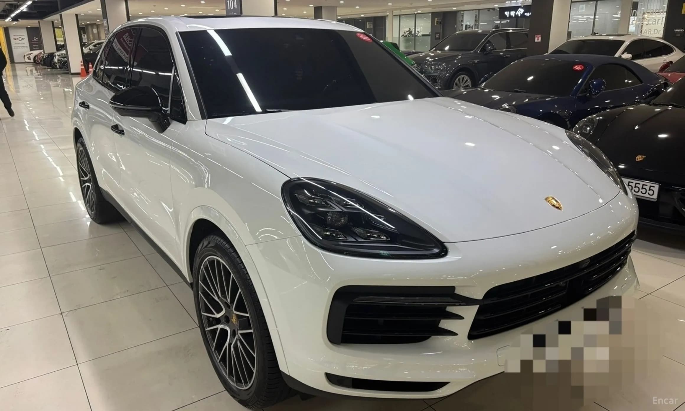 Cayenne (PO536)