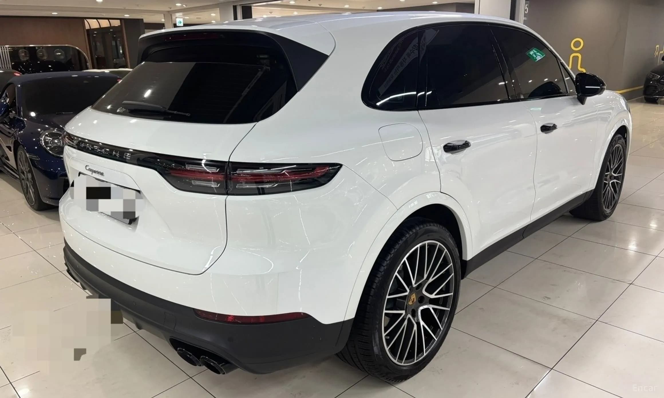 Cayenne (PO536)