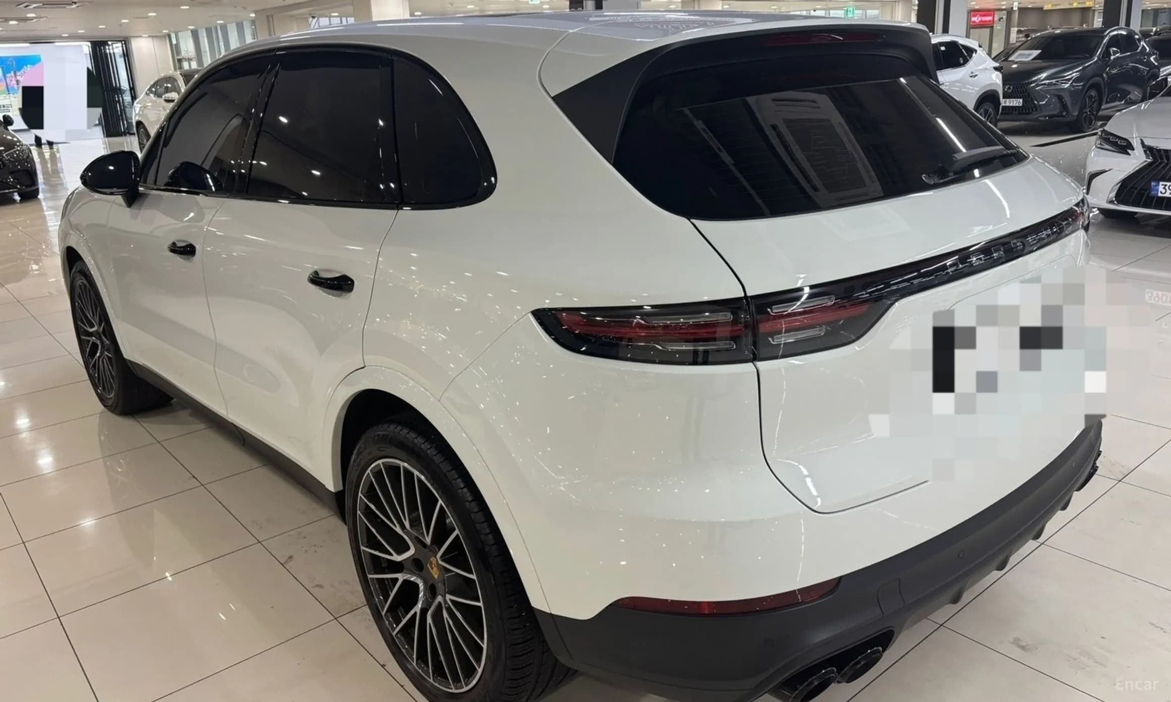 Cayenne (PO536)
