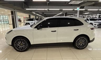 Cayenne (PO536)