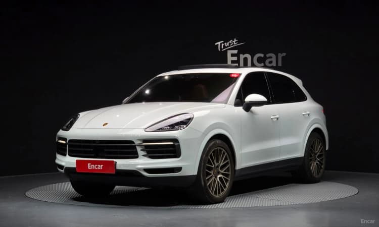 Cayenne (PO536)