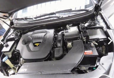 LF Sonata