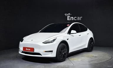 Model Y