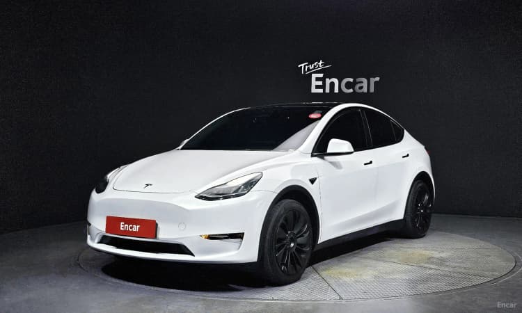 Model Y
