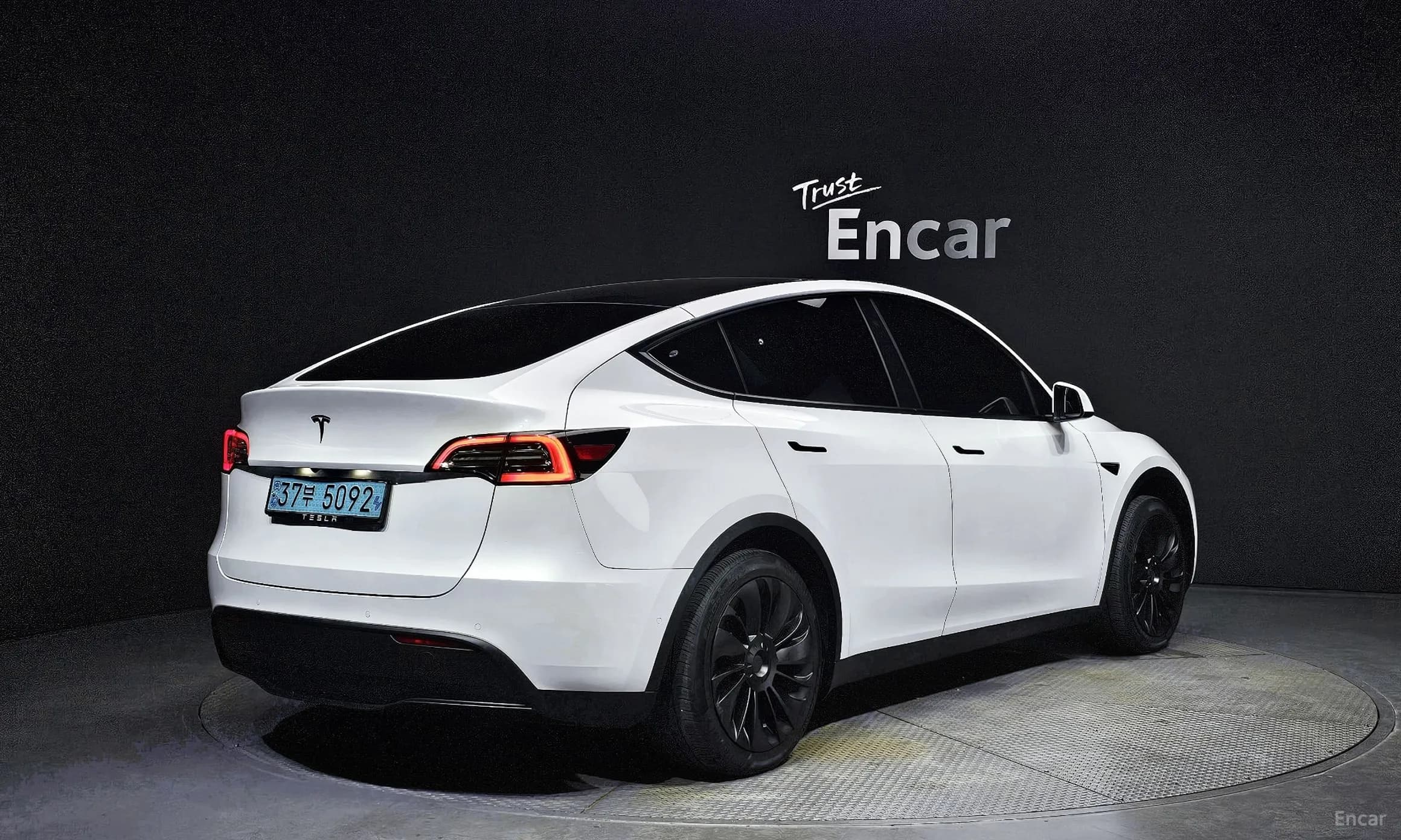 Model Y