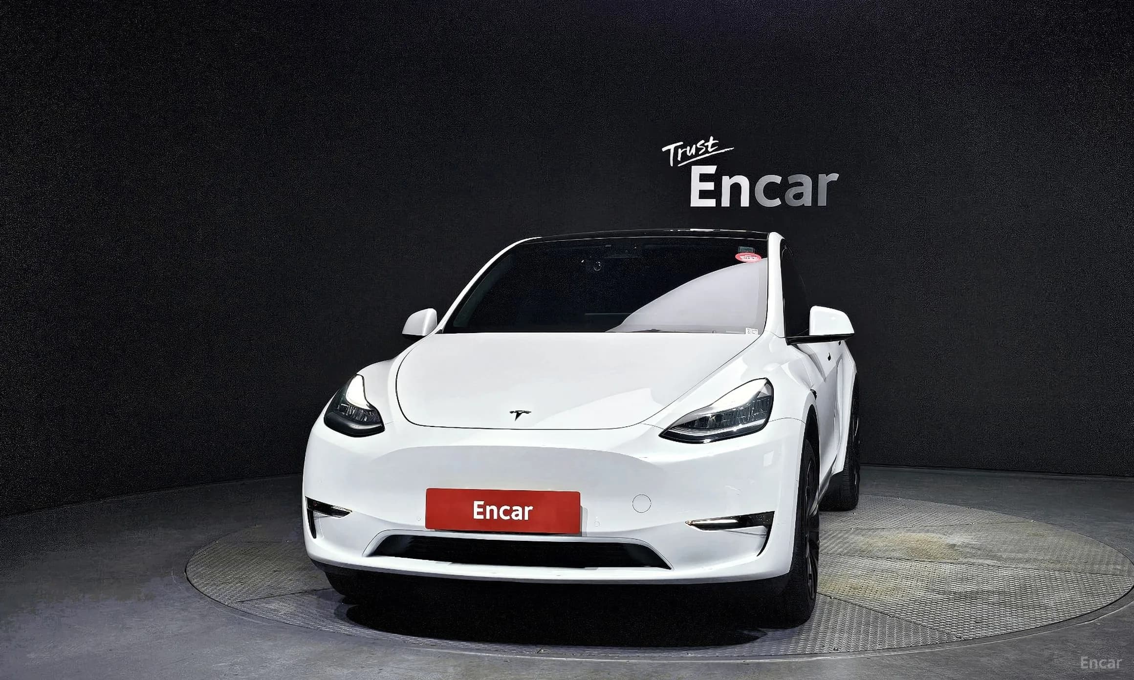Model Y