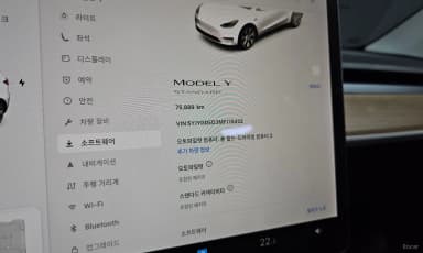 Model Y