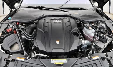 A8 (D5)