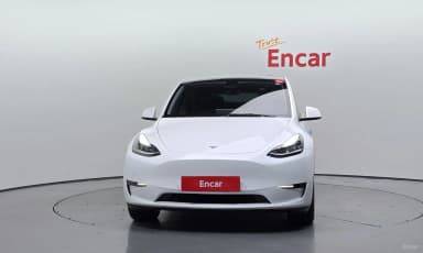 Model Y