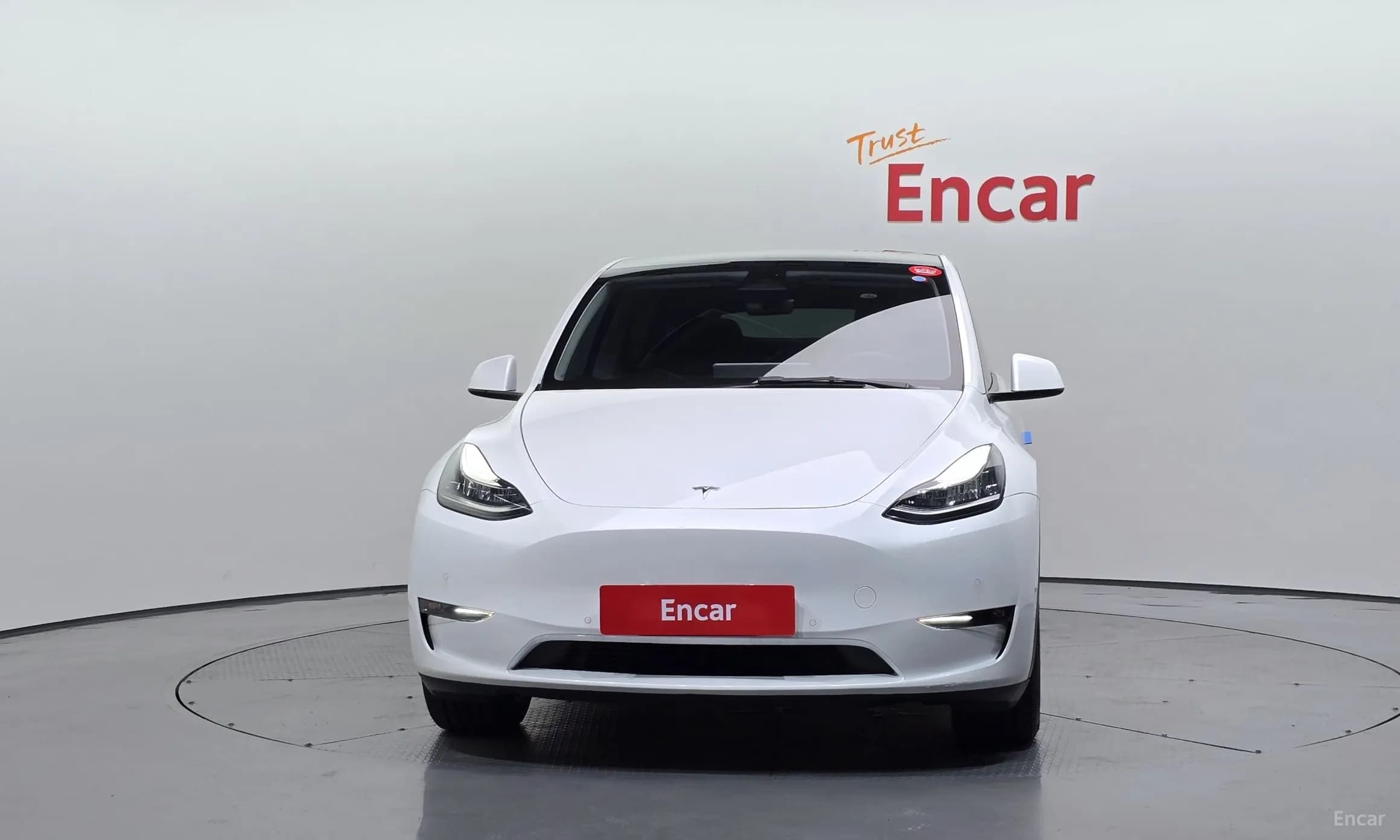 Model Y