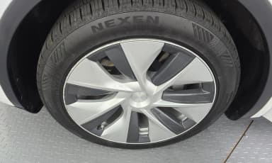 Model Y