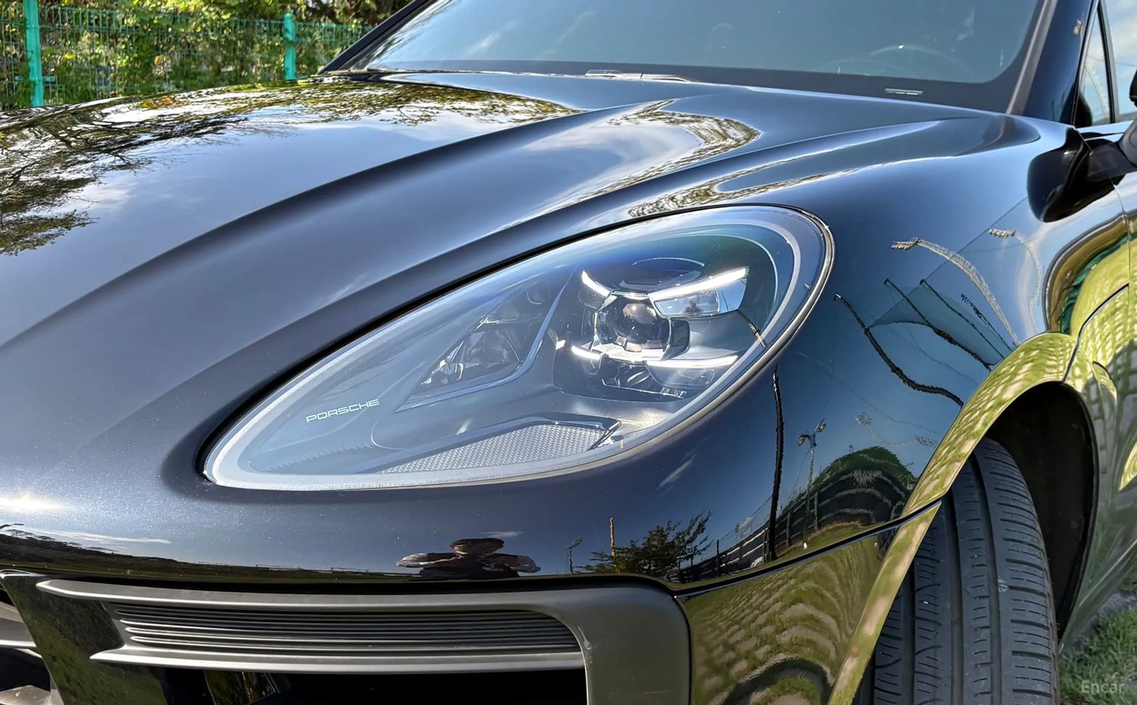 Macan